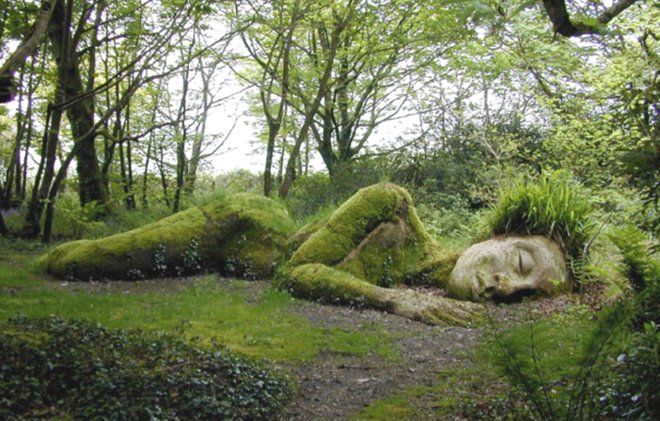 苔藓雕塑
